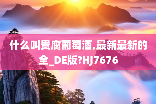 什么叫贵腐葡萄酒,最新最新的全_DE版?HJ7676