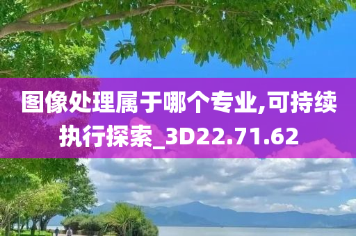 图像处理属于哪个专业,可持续执行探索_3D22.71.62