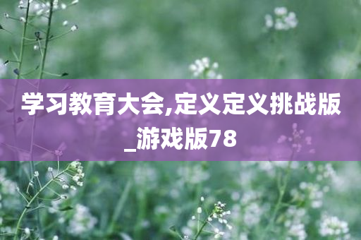 学习教育大会,定义定义挑战版_游戏版78