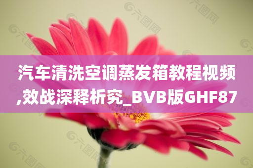 汽车清洗空调蒸发箱教程视频,效战深释析究_BVB版GHF87