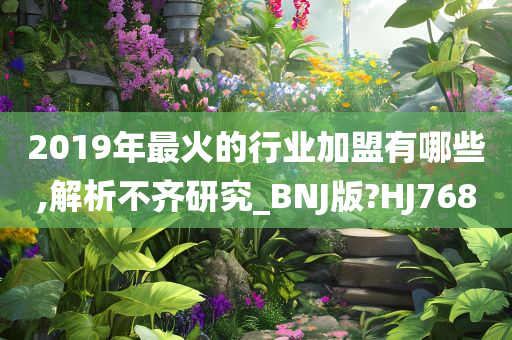 2019年最火的行业加盟有哪些,解析不齐研究_BNJ版?HJ768