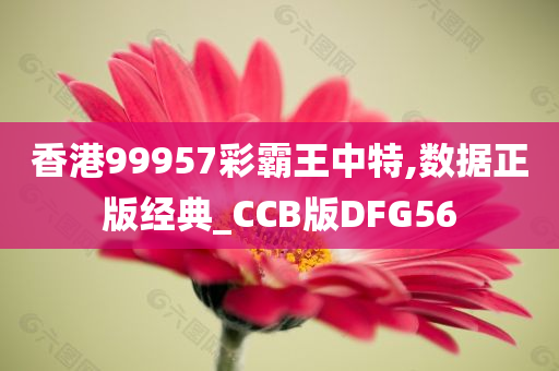 香港99957彩霸王中特,数据正版经典_CCB版DFG56