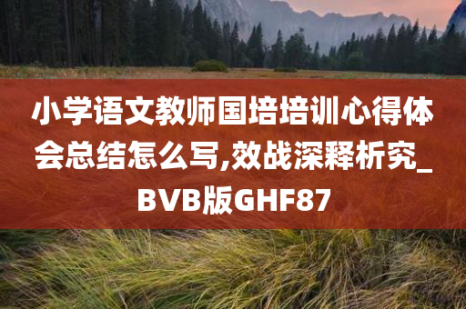 小学语文教师国培培训心得体会总结怎么写,效战深释析究_BVB版GHF87