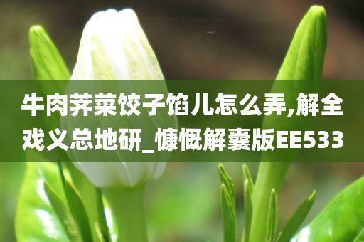 牛肉荠菜饺子馅儿怎么弄,解全戏义总地研_慷慨解囊版EE533