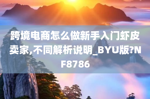 跨境电商怎么做新手入门虾皮卖家,不同解析说明_BYU版?NF8786