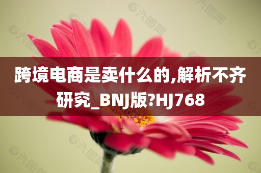 跨境电商是卖什么的,解析不齐研究_BNJ版?HJ768