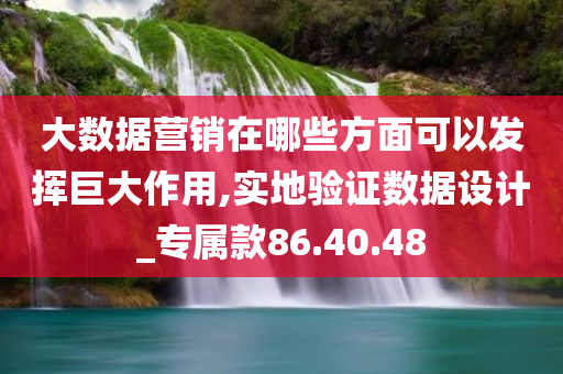 大数据营销在哪些方面可以发挥巨大作用,实地验证数据设计_专属款86.40.48