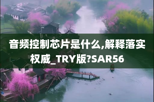 音频控制芯片是什么,解释落实权威_TRY版?SAR56