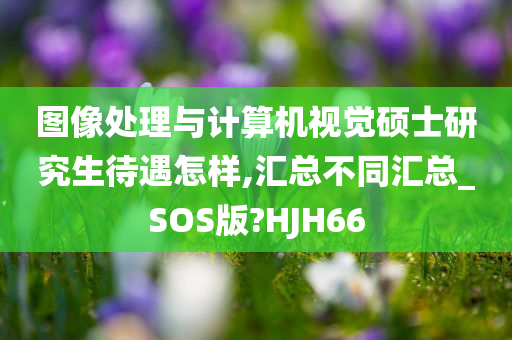 图像处理与计算机视觉硕士研究生待遇怎样,汇总不同汇总_SOS版?HJH66