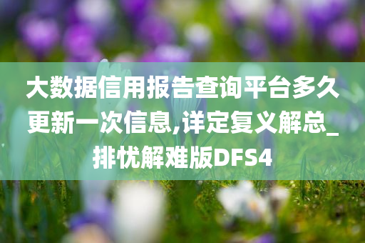 大数据信用报告查询平台多久更新一次信息,详定复义解总_排忧解难版DFS4