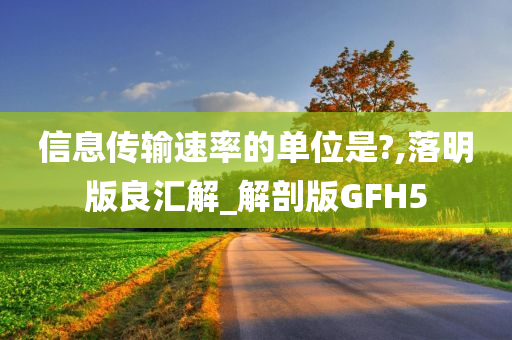 信息传输速率的单位是?,落明版良汇解_解剖版GFH5