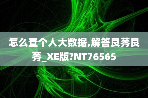 怎么查个人大数据,解答良莠良莠_XE版?NT76565