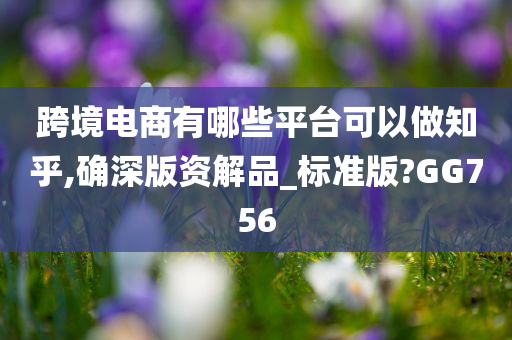 跨境电商有哪些平台可以做知乎,确深版资解品_标准版?GG756