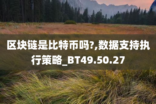 区块链是比特币吗?,数据支持执行策略_BT49.50.27