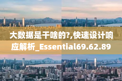 大数据是干啥的?,快速设计响应解析_Essential69.62.89