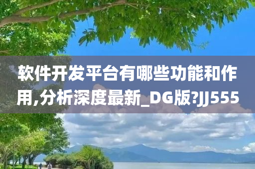 软件开发平台有哪些功能和作用,分析深度最新_DG版?JJ555