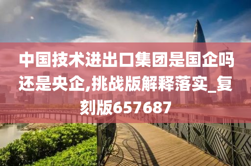 中国技术进出口集团是国企吗还是央企,挑战版解释落实_复刻版657687