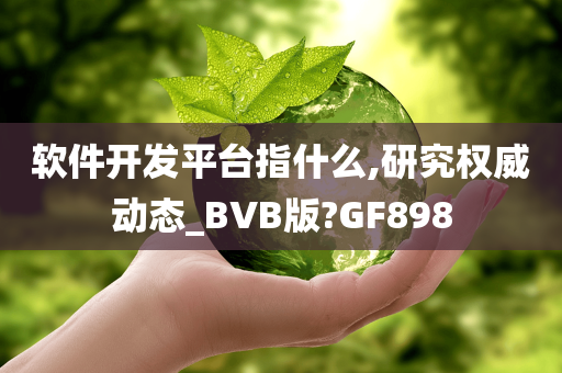 软件开发平台指什么,研究权威动态_BVB版?GF898