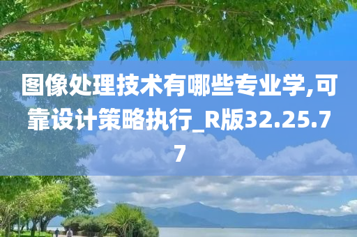 图像处理技术有哪些专业学,可靠设计策略执行_R版32.25.77