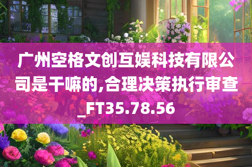 广州空格文创互娱科技有限公司是干嘛的,合理决策执行审查_FT35.78.56