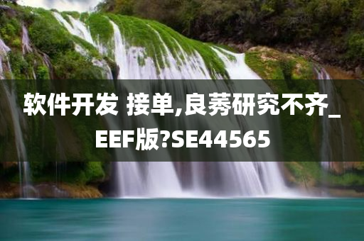 软件开发 接单,良莠研究不齐_EEF版?SE44565