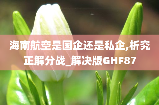 海南航空是国企还是私企,析究正解分战_解决版GHF87