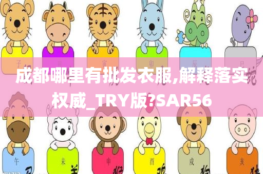 成都哪里有批发衣服,解释落实权威_TRY版?SAR56