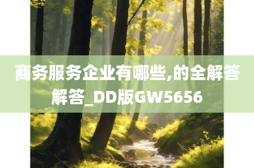 商务服务企业有哪些,的全解答解答_DD版GW5656