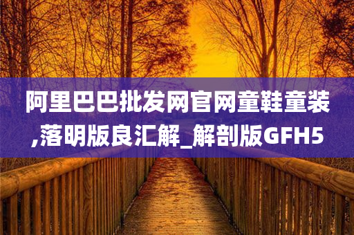 阿里巴巴批发网官网童鞋童装,落明版良汇解_解剖版GFH5