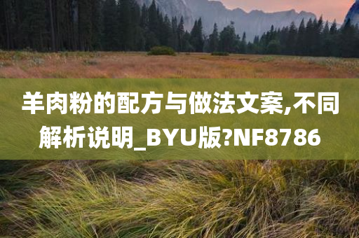 羊肉粉的配方与做法文案,不同解析说明_BYU版?NF8786