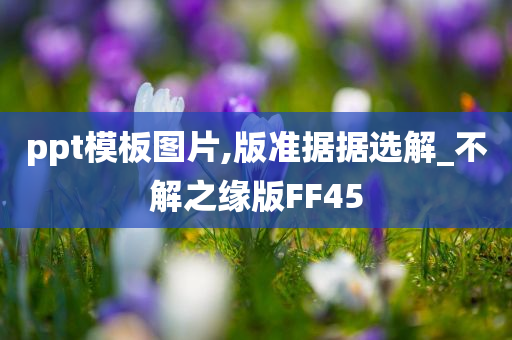 ppt模板图片,版准据据选解_不解之缘版FF45