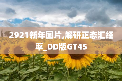 2921新年图片,解研正态汇经率_DD版GT45