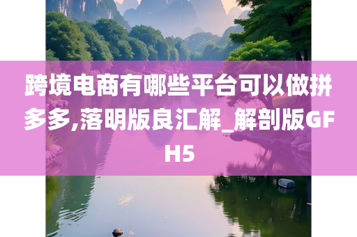 跨境电商有哪些平台可以做拼多多,落明版良汇解_解剖版GFH5