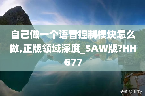 自己做一个语音控制模块怎么做,正版领域深度_SAW版?HHG77