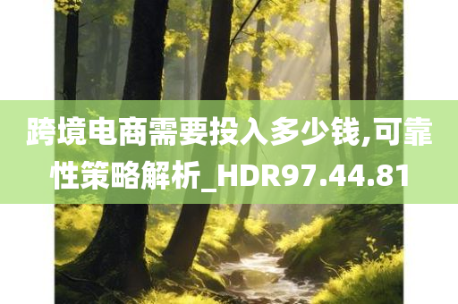 跨境电商需要投入多少钱,可靠性策略解析_HDR97.44.81