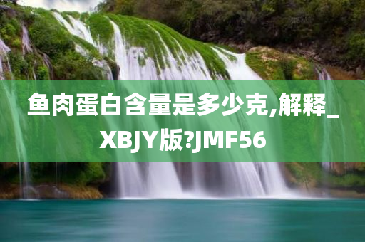 鱼肉蛋白含量是多少克,解释_XBJY版?JMF56