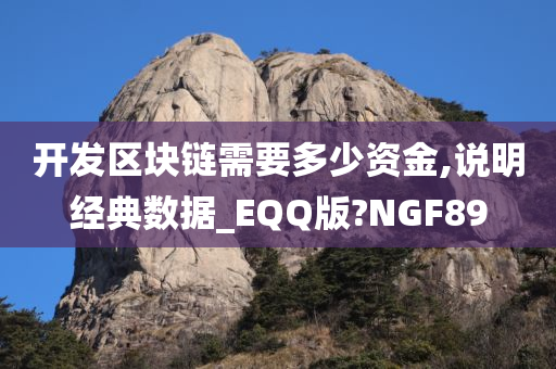 开发区块链需要多少资金,说明经典数据_EQQ版?NGF89