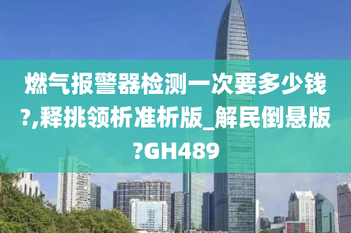 燃气报警器检测一次要多少钱?,释挑领析准析版_解民倒悬版?GH489