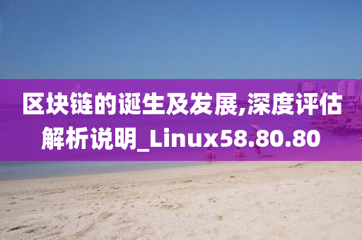 区块链的诞生及发展,深度评估解析说明_Linux58.80.80