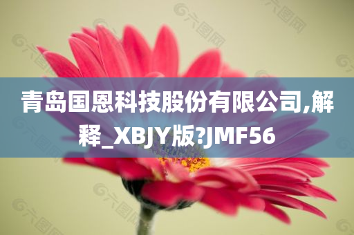 青岛国恩科技股份有限公司,解释_XBJY版?JMF56