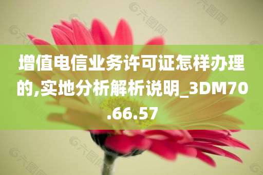 增值电信业务许可证怎样办理的,实地分析解析说明_3DM70.66.57