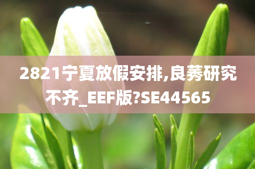 2821宁夏放假安排,良莠研究不齐_EEF版?SE44565