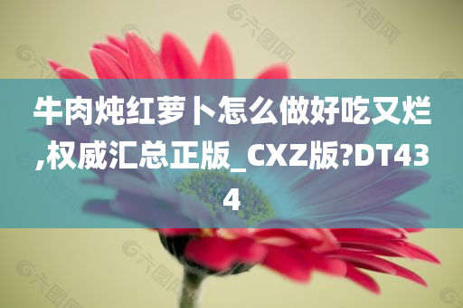 牛肉炖红萝卜怎么做好吃又烂,权威汇总正版_CXZ版?DT434