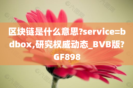 区块链是什么意思?service=bdbox,研究权威动态_BVB版?GF898