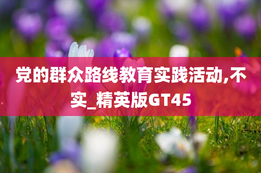 党的群众路线教育实践活动,不实_精英版GT45