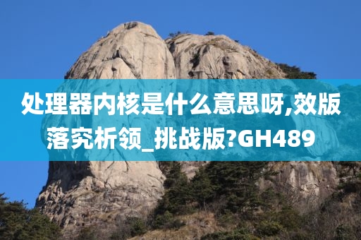 处理器内核是什么意思呀,效版落究析领_挑战版?GH489