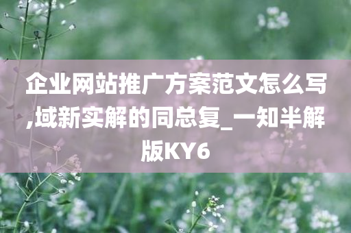 企业网站推广方案范文怎么写,域新实解的同总复_一知半解版KY6