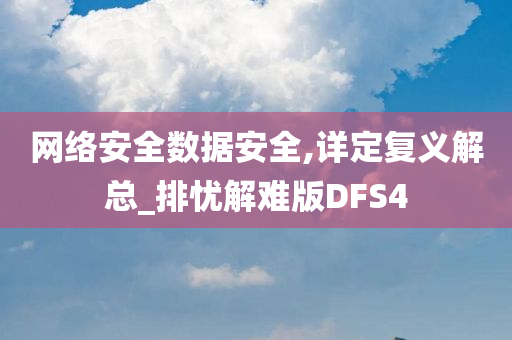 网络安全数据安全,详定复义解总_排忧解难版DFS4