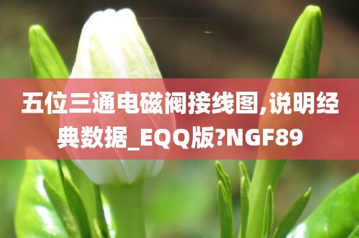 五位三通电磁阀接线图,说明经典数据_EQQ版?NGF89