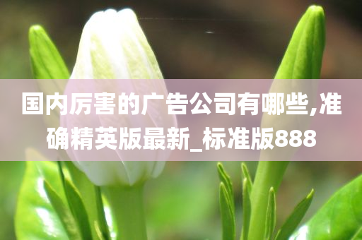 国内厉害的广告公司有哪些,准确精英版最新_标准版888